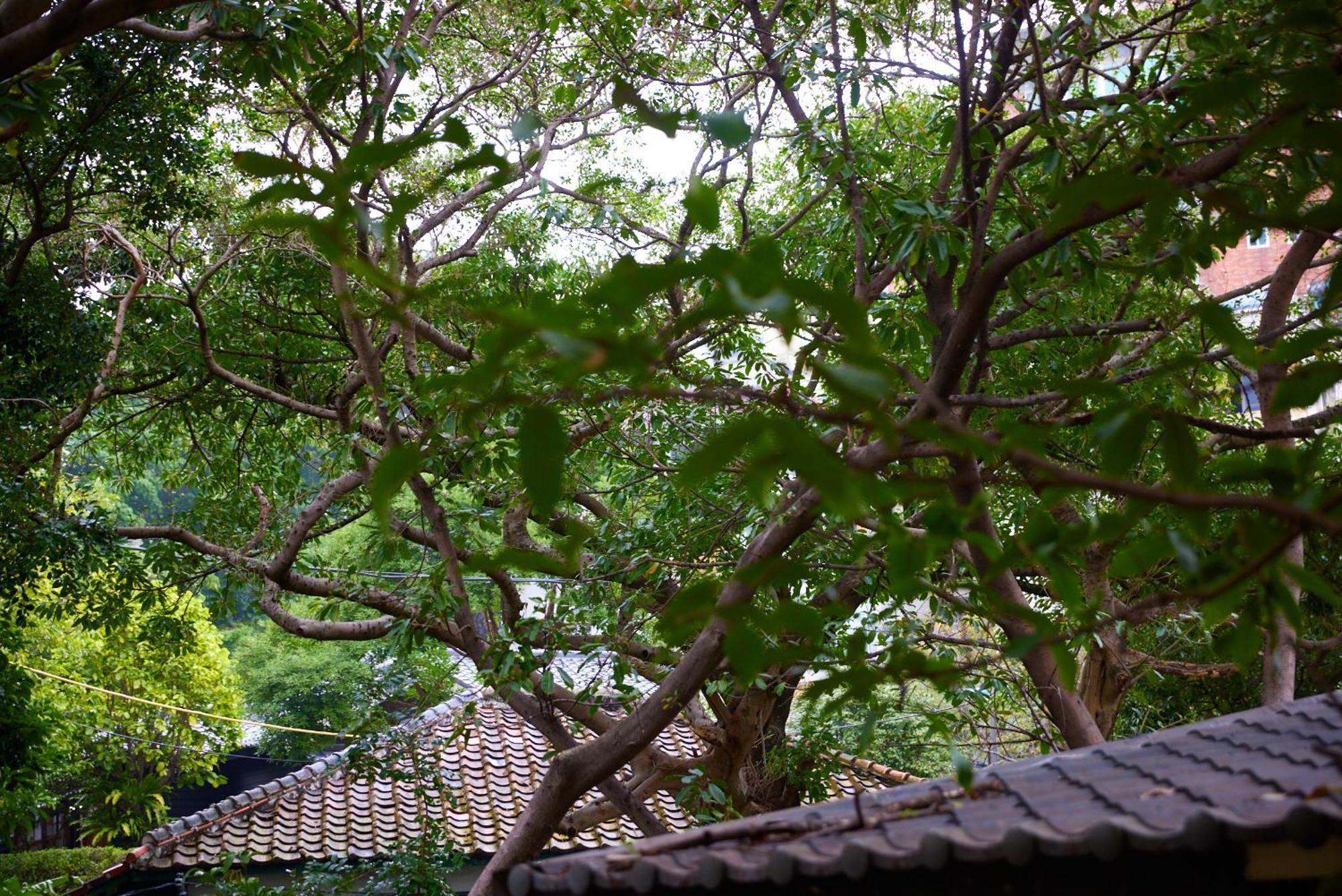 Kyokusui Hotspring Hotel 台北市 エクステリア 写真